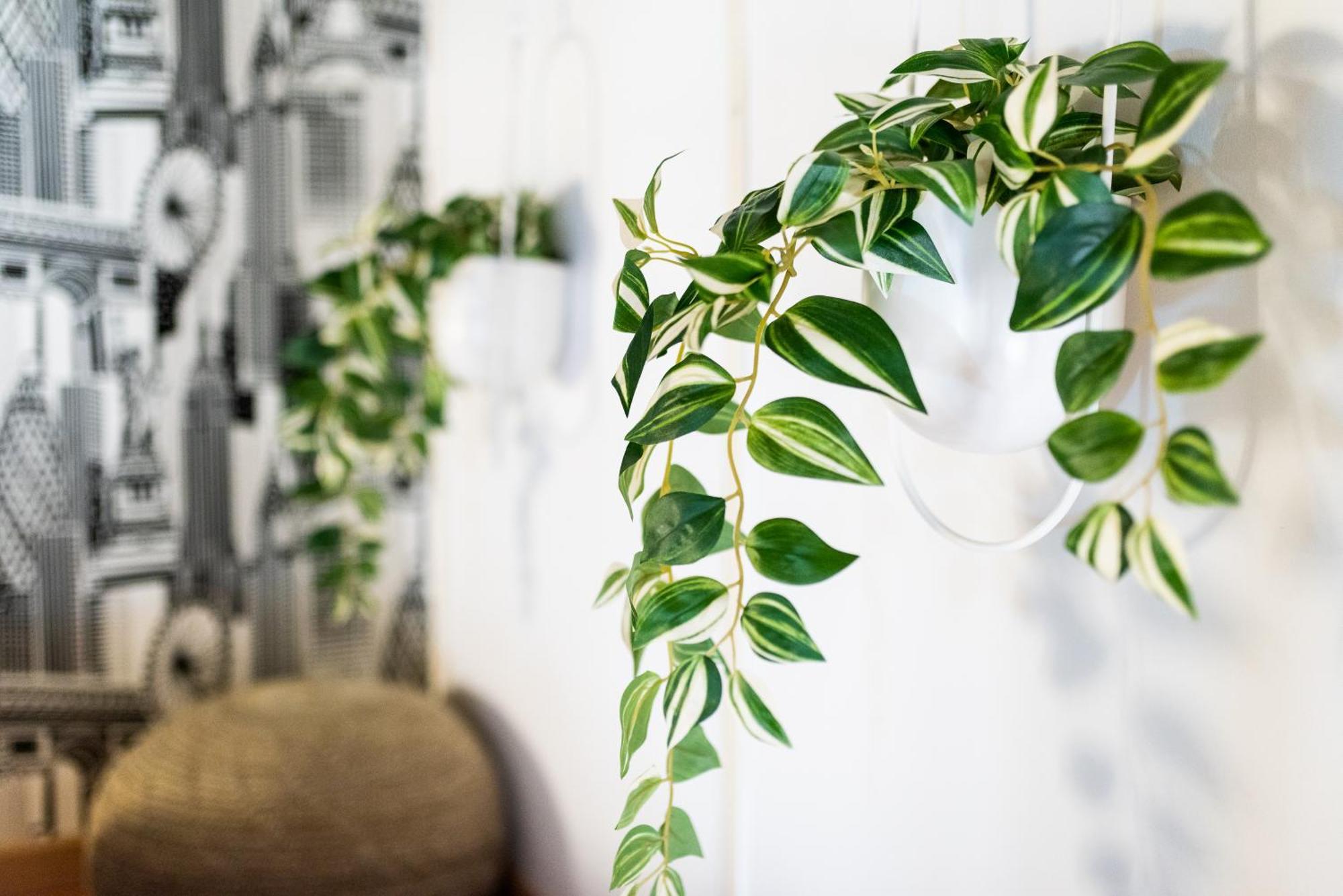 Apartamento Con Encanto, Centro Granada Eksteriør bilde